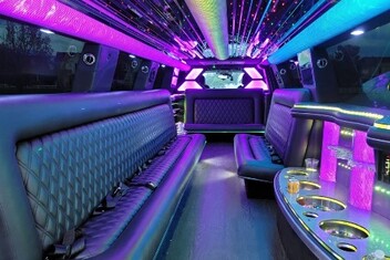 New Braunfels Limo Interior