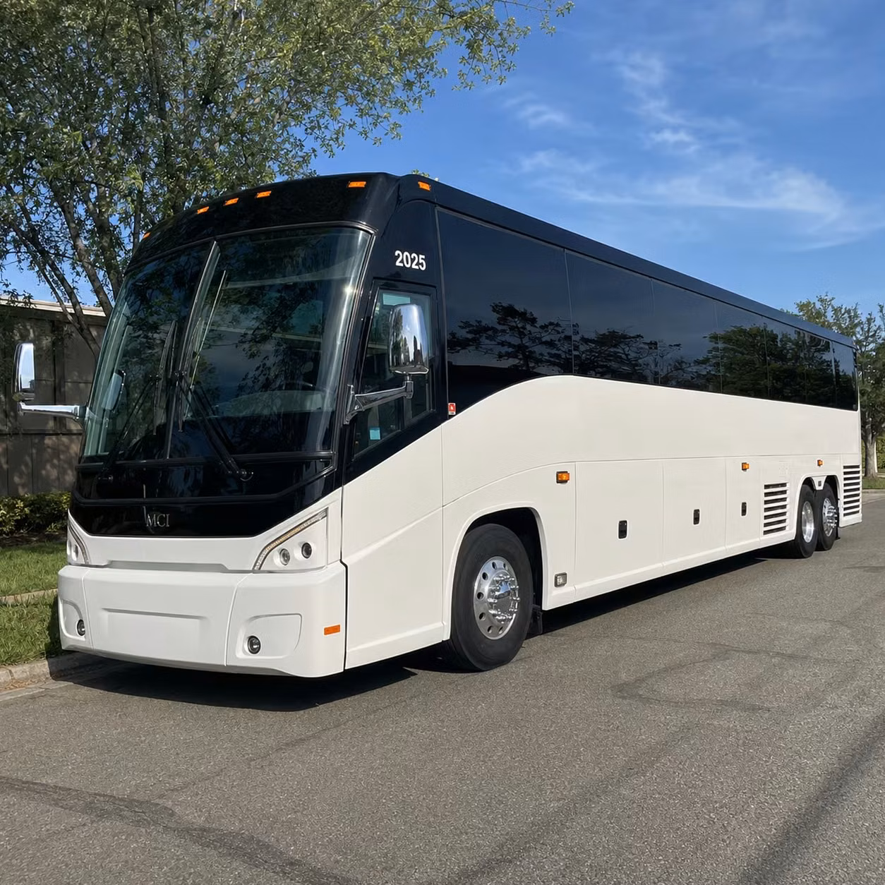 charter buses to natural bridge caverns and wildlife ranch new braunfels most popular field trip destination