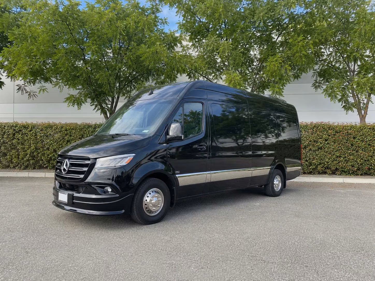sprinter van with driver